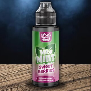 Big Bottle - Mr. Mint - Aroma - Sweet Berries